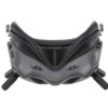DJI FPV Goggles V2