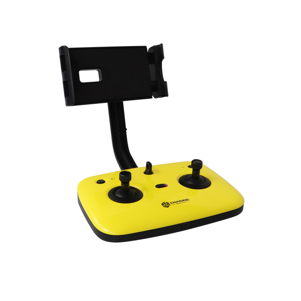 Chasing Remote Control (Dory)