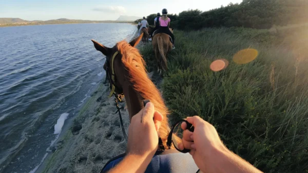GoPro - Head Strap 2.0