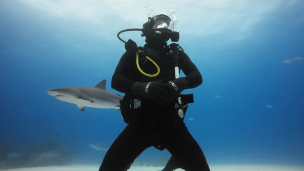 GoPro - HERO11 Black Mini Dive Housing