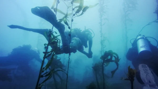 GoPro - HERO11 Black Mini Dive Housing